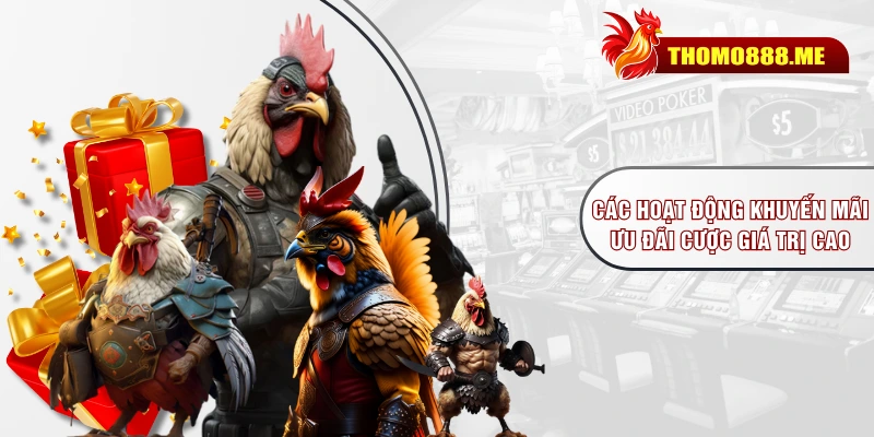 Các hoạt động khuyến mãi, ưu đãi cược giá trị cao