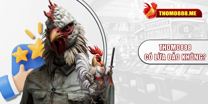 THOMO888 có lừa đảo không?